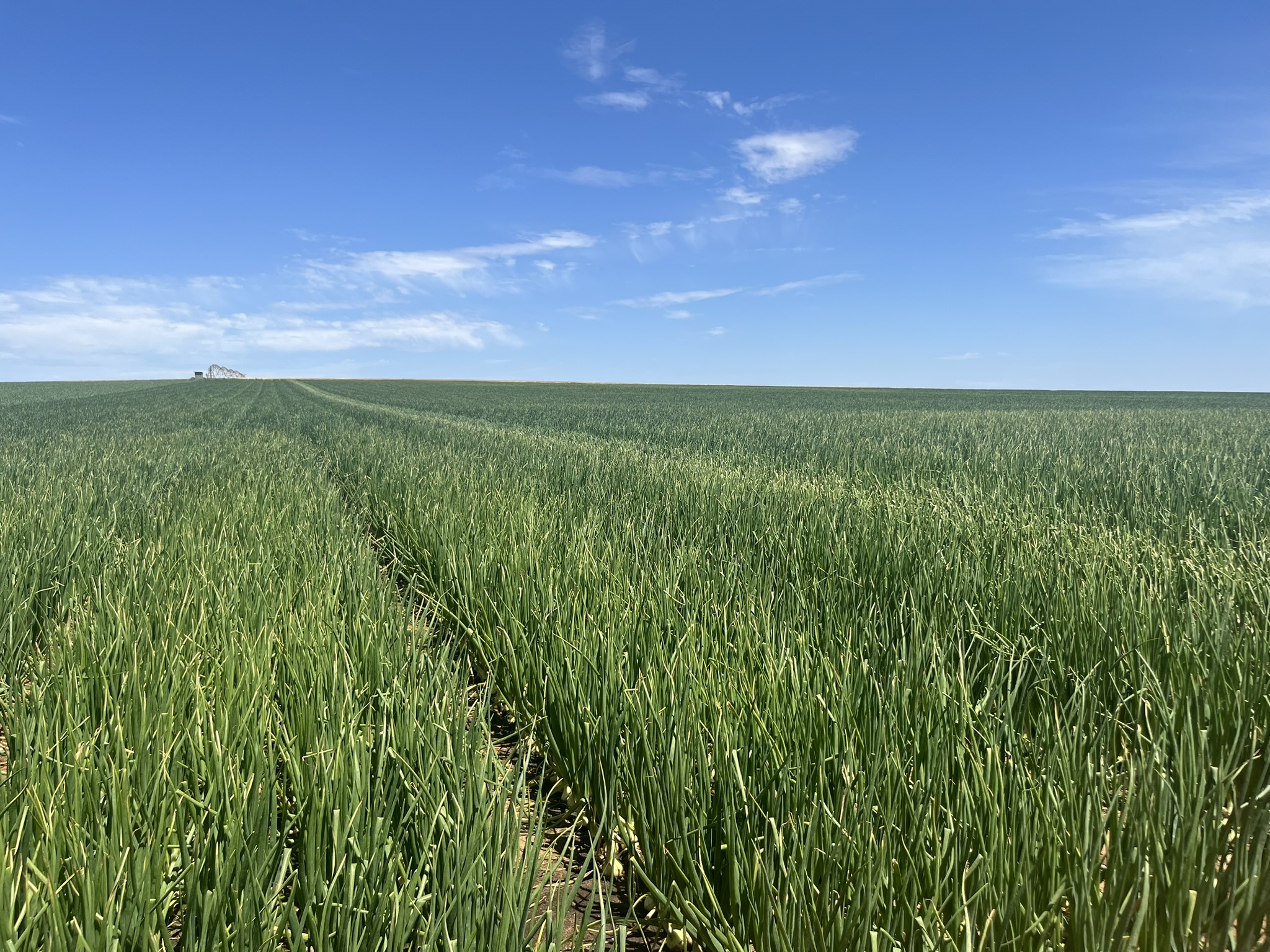 Why is Australian agriculture so important?